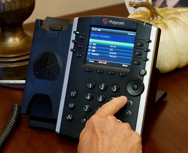 VoIP Phone Number Options
